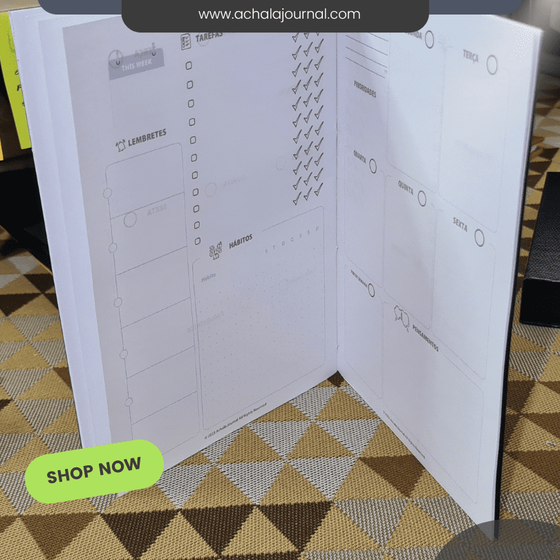 achala-journal-notebook-for-planner-inserts-midori-executive-brainstorm-pt (3)