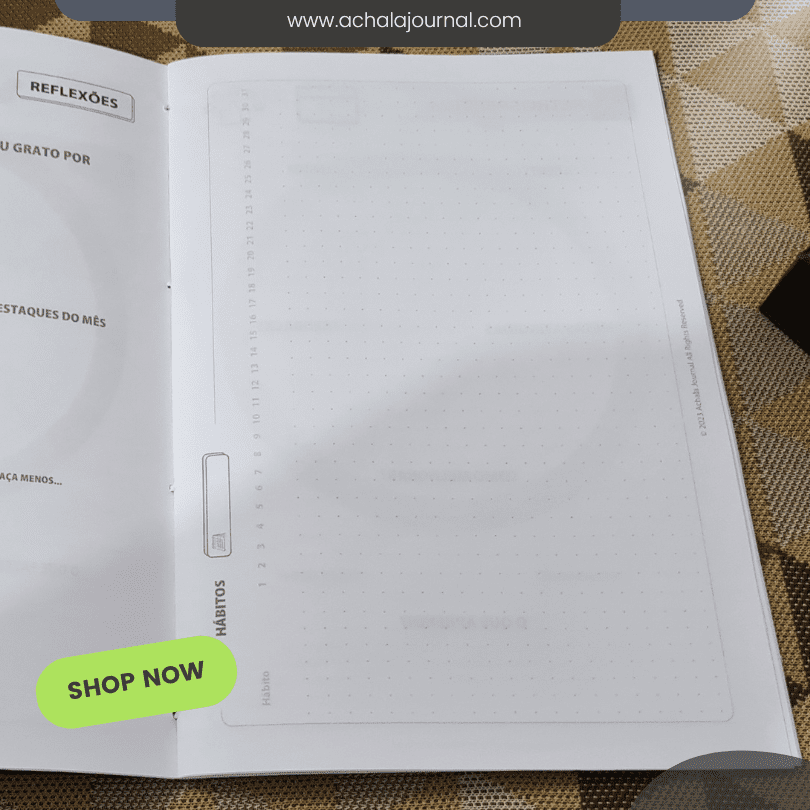 achala-journal-notebook-for-planner-inserts-midori-executive-retroevents-pt (4)